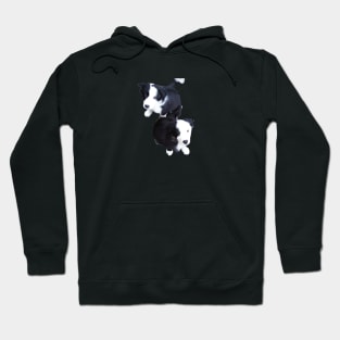 Sadie and Wyatt Puppies Hoodie